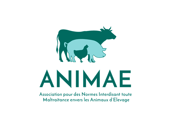 Logo Animae