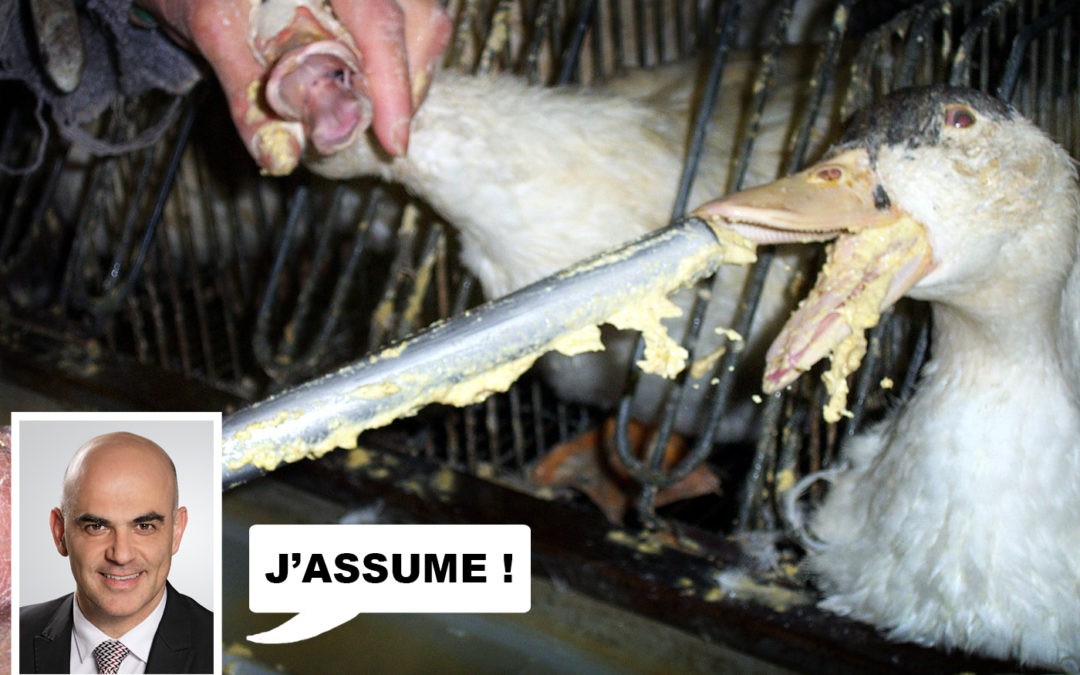 Lettre ouverte à Alain Berset : Etes-vous le Président du « foie gras » ou de la « bonne foi » ?